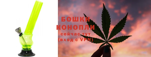 spice Бородино