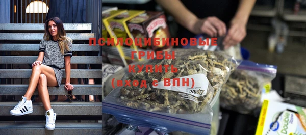 spice Бородино