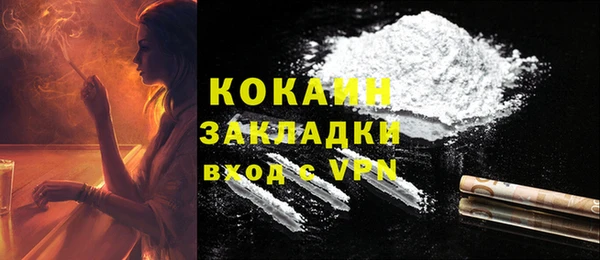 mix Богородицк
