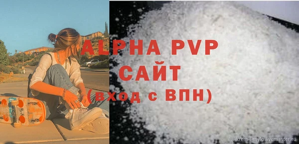 spice Бородино
