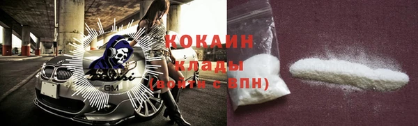 mix Богородицк